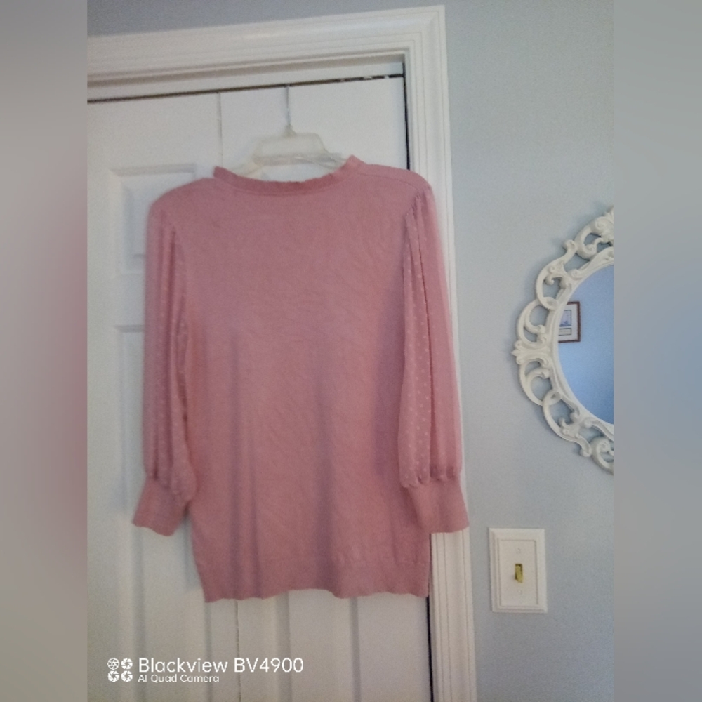 Adrianna Papell  light pink top with sheer sleeves S